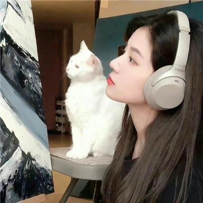 琴瑟情未了